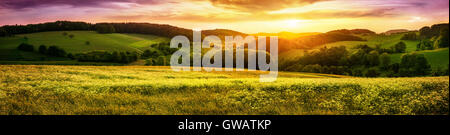 Panoramic sunset over a vast blossoming meadow landscape, with hills on the horizon and colorful sky Stockfoto