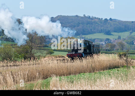 Lokomotive 7828, Odney Manor, in voller Kraft auf der West Somerset Railway am blauen Anker in Somerset mit Dunster hinter Stockfoto