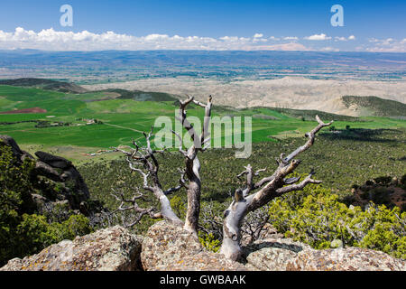 Ansicht West vom Warner Punkt übersehen, Black Canyon des Gunnison National Park, Colorado, USA Stockfoto