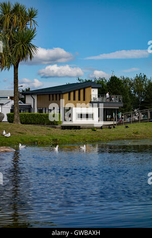 Treibholz-Cafe im Park Agnew, Stranraer, Dumfries and Galloway, Schottland. Stockfoto