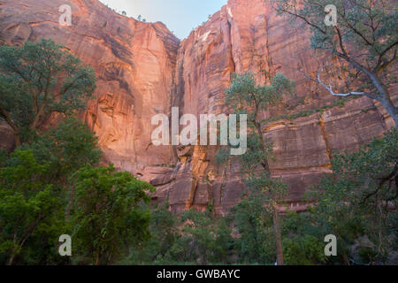 Felsformationen des Zion Canyon am Tempel von Sinawava Stockfoto