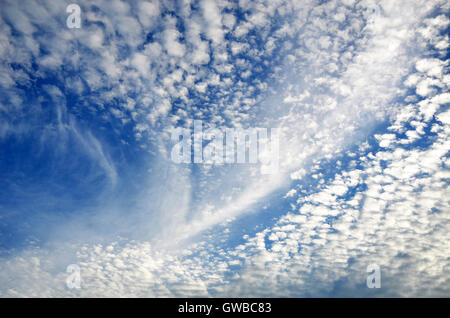 Flauschig und wispy weiß Cirrus und Cumulus-Wolken in einem tiefblauen Sommerhimmel Stockfoto