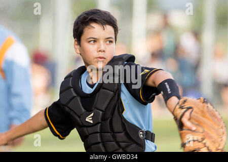 Ein Teenager Baseball-Spieler tragen Catcher Getriebe bei einem Baseball-Spiel in Cairns, Australien Stockfoto