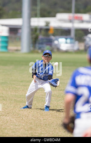 Ein kleiner Junge fängt einen Ball im Training vor einem Baseball-Spiel in Cairns, Australien Stockfoto