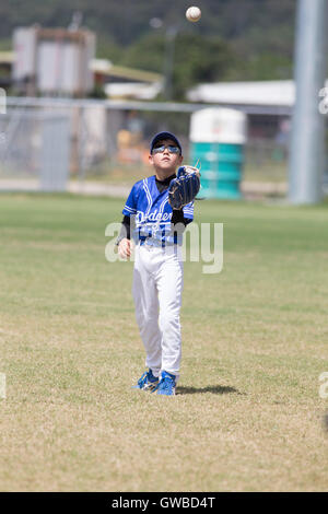 Ein kleiner Junge fängt einen Fly Ball während des Trainings vor einem Baseball-Spiel in Cairns, Australien Stockfoto