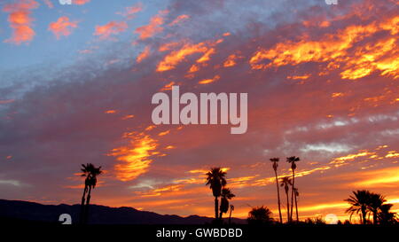 Desert Palm Sonnenuntergang mit hell rosa, gold und Gelb Farben und Santa Rosa Mountains, Kalifornien Stockfoto