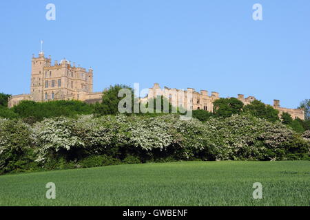 Bolsover Castle in Derbyshire gesehen aus einem Getreide Ernte Feld Saison Weissdorn Blüte (im Bild) an einem sonnigen Tag, England UK Stockfoto