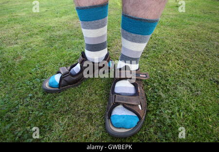 Ein englischer Mann trägt Socken mit Sandalen im Sommer in einem heimischen Garten, England UK Modell veröffentlicht Stockfoto