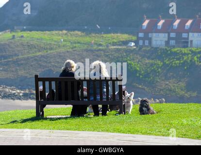 Zwei Frauen mit Hunden sitzen auf einer Bank in Whitby North Yorkshire England UK sprechen Stockfoto