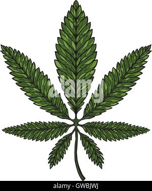 Handgezeichnete Blatt Hanf, Cannabis im dekorativen Stil. Marihuana-Vektor-illustration Stock Vektor