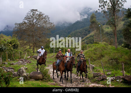 Mehrere Pferde Reiten durch Cocora-Tal, Kolumbien. Dieses Tal ist ein Tal im Departamento Quindío im Land von Kolumbien. Es befindet sich in den zentralen Kordilleren der Anden. Das Tal ist Teil des Los Nevados nationalen Naturparks, 1985 in den bestehenden Nationalpark von der kolumbianischen Regierung gegründet. Stockfoto