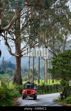 Typische Willys Jeep Reisen nur 10 Kilometer von der Stadt von Salento Cocora Valley National Park, Kolumbien. Dieses Tal ist ein Tal im Departamento Quindío im Land von Kolumbien. Es befindet sich in den zentralen Kordilleren der Anden. Das Tal ist Teil des Los Nevados nationalen Naturparks, 1985 in den bestehenden Nationalpark von der kolumbianischen Regierung gegründet. Stockfoto