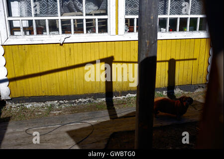 Künstlerische abstrakte Foto. Sonnenlicht und Schatten. Stockfoto