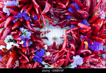 Paprika mit einem weißen Blüten lila Stockfoto