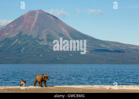 Blick auf Kurilen See vor der Kulisse des Vulkans Iljinski in Kamtschatka Region Russlands Stockfoto