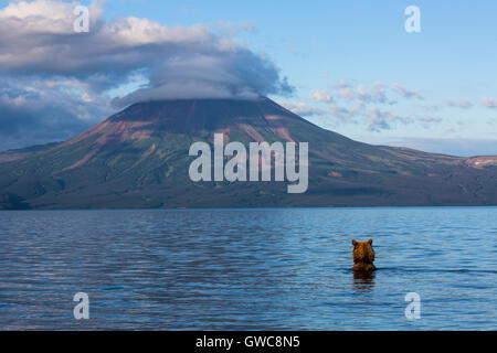 Blick auf Kurilen See vor der Kulisse des Vulkans Iljinski in Kamtschatka Region Russlands Stockfoto