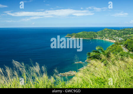 Ansicht von Bloody Bay, Trinidad und Tobago zeigt Dorf, Bucht und Meer und Palmen Stockfoto