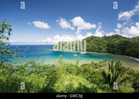 Ansicht von Bloody Bay, Trinidad und Tobago zeigt Dorf, Bucht und Meer und Palmen Stockfoto