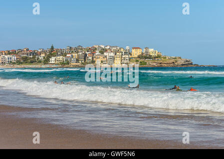 Viele Surfer warten auf die richtige Größe Welle, Bondi Beach in der östlichen Vorstadt-Sydney Stockfoto