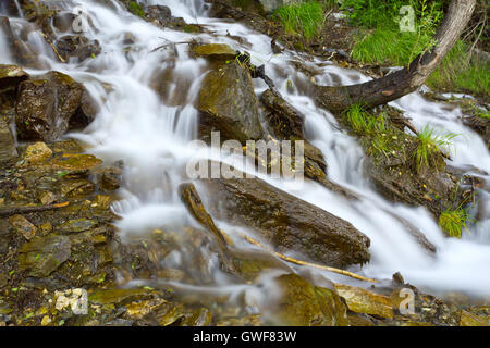 Schöner Wasserfall Bäche unter Steinen, Felsen und Wald im Altai-Gebirge, Russland. Stockfoto