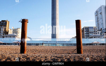 Brighton, UK. 13. Sep, 2016. British Airways i360 Aussichtsturm auf Brighton Seafront ist bis heute der Öffentlichkeit aufgrund technischer Probleme an einem schönen sonnigen Morgen geschlossen. Die i360 touristischen Attraktion hat zweimal in den letzten Tagen nach nur am 4. August dieses Jahres eröffnete abgebaut und die Probleme werden von Ingenieuren Foto von Credit untersucht: Simon Dack/Alamy Live News Stockfoto