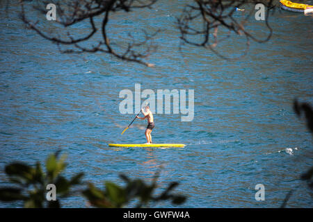 Rio De Janeiro, Brasilien, 12. September 2016: üben Stand Up Paddle - SUP gesehen, umrahmt von den Ästen eines Baumes in Red Beach. Frühling naht und das Wetter in Rio De Janeiro beginnt wärmer werden. An einem sonnigen und heißen Nachmittag Leute aufregen, verlassen sich die natürliche Schönheit der Stadt genießen. Bildnachweis: Luiz Souza/Alamy Live-Nachrichten Stockfoto