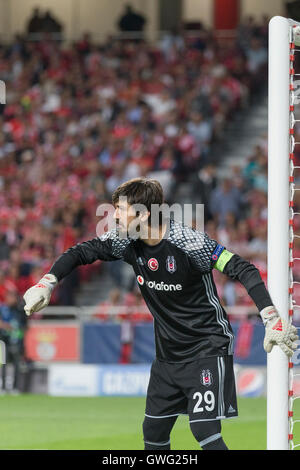 Lissabon, Portugal. 13. September 2016. Besiktas den türkischen Torwart Tolga Zengin (29) während des Spiels von der UEFA Champions League, Gruppe B, SL Benfica Vs Besiktas JK Credit: Alexandre de Sousa/Alamy Live News Stockfoto