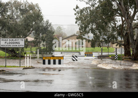 Mt Barker, Südaustralien. 14. September 2016. Überflutete Straßen geschlossen in den Adelaide Hills, da ein Sturm der Region als starke Winde peitscht und Rekord Ursache Chaos Regen. Ray Warren/Alamy Live-Nachrichten Stockfoto