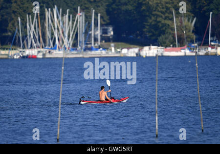 Berlin, Deutschland. 14. Sep, 2016. Ein Mann in einem Kajak auf See Grosser Wannsee in Berlin, Deutschland, 14. September 2016. Foto: RALF HIRSCHBERGER/Dpa/Alamy Live News Stockfoto