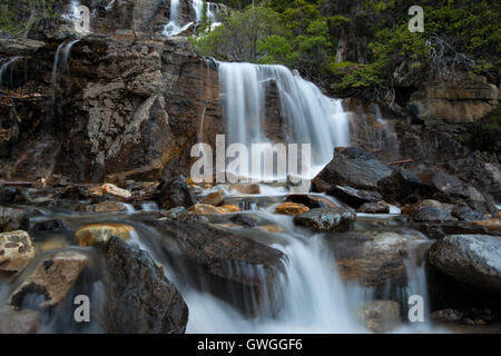 Gewirr fällt auf den Icefield Parkway, Jasper Nationalpark, Alberta, Kanada Stockfoto