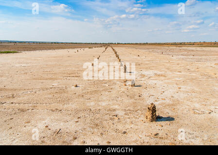 Versteinerter Baum Stubs am Ufer des salzigen Sees, Kuyalnik, Ukraine Stockfoto