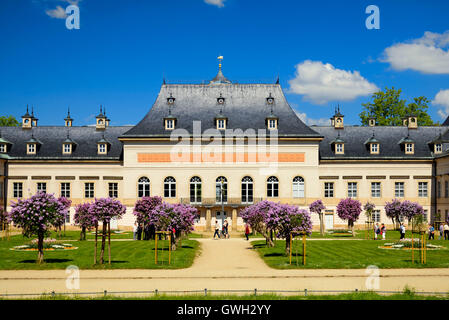 Dresden, Fliederhof Im Schloss Pillnitz Stockfoto