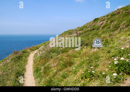 South West Coast Path Meres Klippe in der Nähe von Mullion, Cornwall, Lizard Halbinsel, England, UK Stockfoto