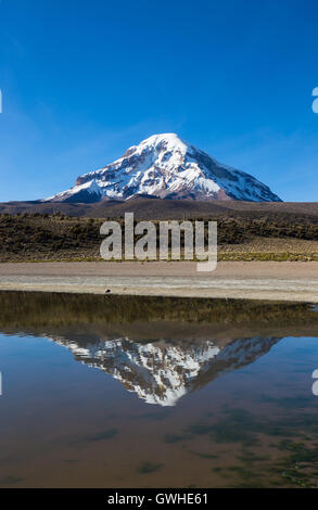 Sajama Vulkan und See Huayñacota, in der natürliche Park Sajama. Bolivien Stockfoto