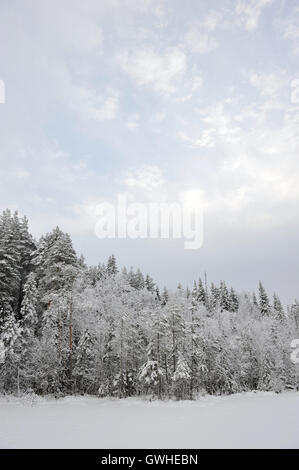 Taiga-See im frühen Winter mit Schnee und Raureif. Stockfoto