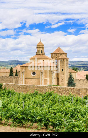 Weinreben und der Königlichen Abtei von Santa Maria de Poblet, Vimbodí ich Poblet, Katalonien, Spanien Stockfoto