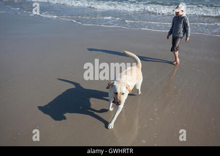 Junge und Hund am Strand, Milnerton Beach, Südafrika Stockfoto