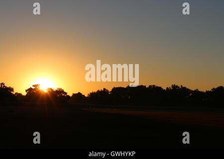 Sonnenaufgang über den Baumwipfeln Stockfoto