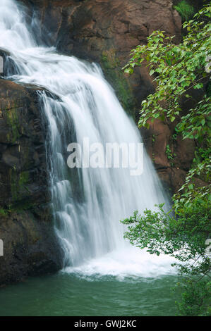 Das Bild der Wasserfall in Bhandardara, Maharashtra, Western Ghats, Monsun, Indien Stockfoto