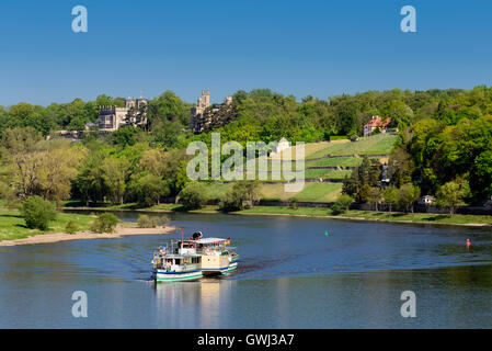 Dresden, Elbschloesser Lingnerschloss Und Eckberg Dinglingers Weinberg Stockfoto