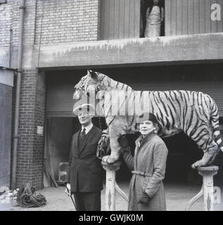 1940er Jahre, historische, Animal Trainer Kaye Burkhard mit seiner Frau Flormie mit Tiger. Burkhard war einer der Gründer der amerikanischen Sektion der wohlwollenden Bestellung von Tiger, einer Organisation der Zirkus Männer. Stockfoto