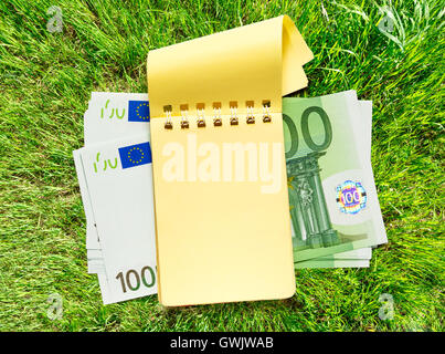 100 Euro-Banknoten und leeren gelben Notizblock Stockfoto