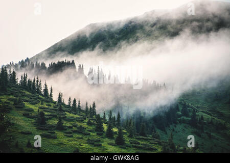 Beeindruckende Landschaft in Karpaten Stockfoto