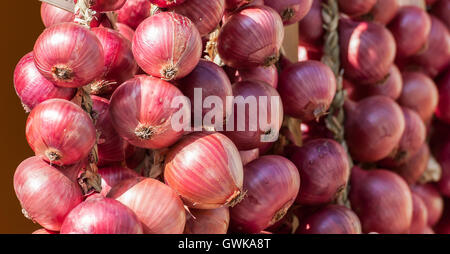 Rote Zwiebel Zöpfen in Italien in den Bauernmarkt verkauft. Zwiebel-Hintergrund Stockfoto