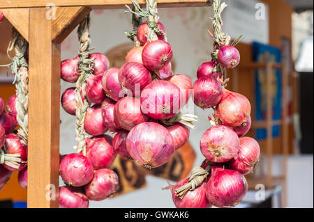 Rote Zwiebel Zöpfen in Italien in den Bauernmarkt verkauft. Stockfoto