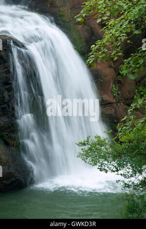 Das Bild der Wasserfall in Bhandardara, Maharashtra, Western Ghats, Monsun, Indien Stockfoto