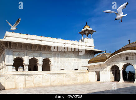 Der weiße Palast im roten Fort. Agra. Indien. Stockfoto