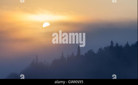 Nebel über Bergkette bei Sonnenaufgang Licht. Morgensonne Strahlen durch den Nebel über Berghänge mit Fichtenwald bedeckt. Stockfoto