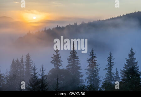 Nebel über Bergkette bei Sonnenaufgang Licht. Morgensonne Strahlen durch den Nebel über Berghänge mit Fichtenwald bedeckt. Stockfoto