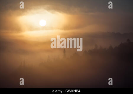 Nebel über Bergkette bei Sonnenaufgang Licht. Morgensonne Strahlen durch den Nebel über Berghänge mit Fichtenwald bedeckt. Stockfoto